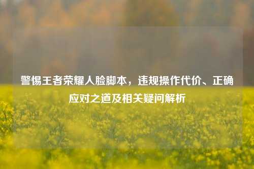 警惕王者荣耀人脸脚本，违规操作代价、正确应对之道及相关疑问解析