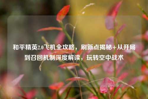 和平精英2.0飞机全攻略，刷新点揭秘+从开局到召回机制深度解读，玩转空中战术