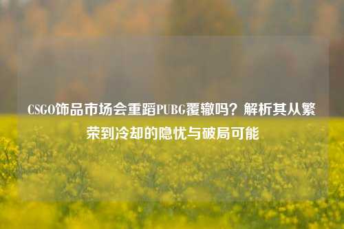 CSGO饰品市场会重蹈PUBG覆辙吗？解析其从繁荣到冷却的隐忧与破局可能