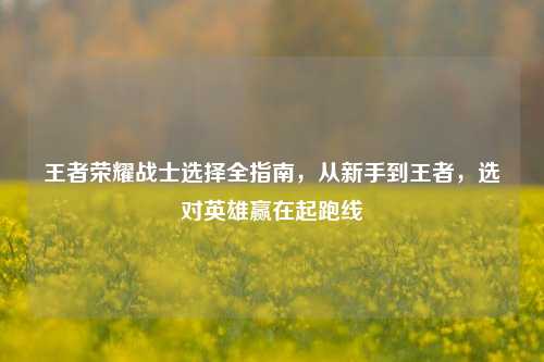 王者荣耀战士选择全指南，从新手到王者，选对英雄赢在起跑线