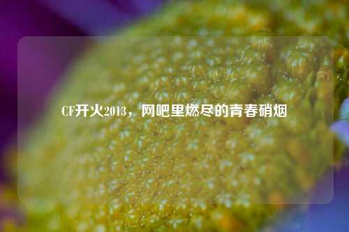 CF开火2013，网吧里燃尽的青春硝烟