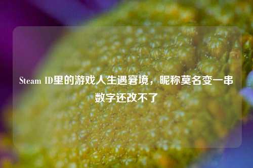 Steam ID里的游戏人生遇窘境，昵称莫名变一串数字还改不了