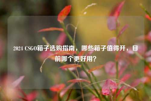 2024 CSGO箱子选购指南，哪些箱子值得开，目前哪个更好用？