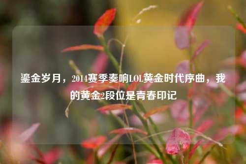 鎏金岁月，2014赛季奏响LOL黄金时代序曲，我的黄金2段位是青春印记