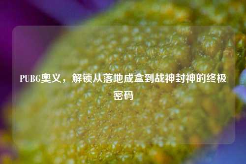 PUBG奥义，解锁从落地成盒到战神封神的终极密码