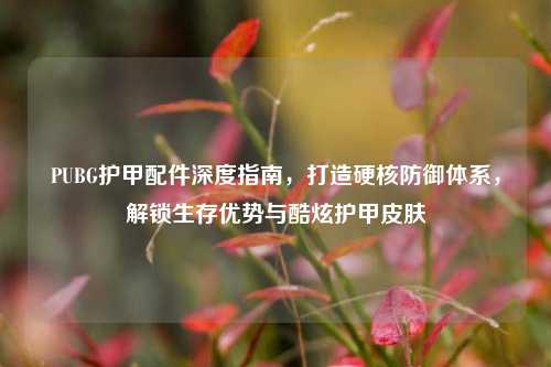 PUBG护甲配件深度指南，打造硬核防御体系，解锁生存优势与酷炫护甲皮肤