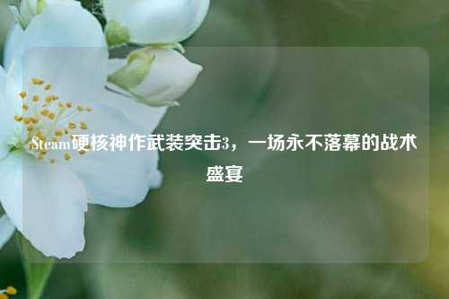 Steam硬核神作武装突击3，一场永不落幕的战术盛宴