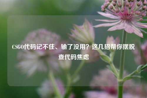 CSGO代码记不住、输了没用？这几招帮你摆脱查代码焦虑