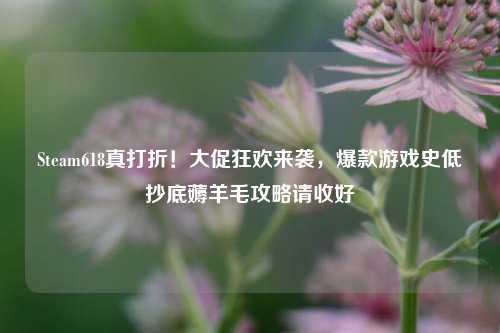 Steam618真打折!大促狂欢来袭,爆款游戏史低抄底薅羊毛攻略请收好