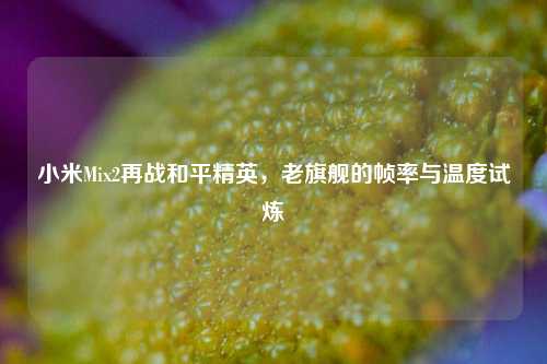 小米Mix2再战和平精英，老旗舰的帧率与温度试炼