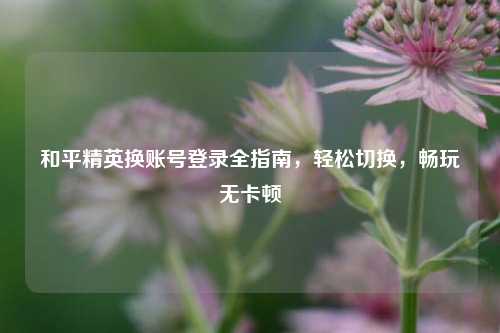 和平精英换账号登录全指南,轻松切换,畅玩无卡顿