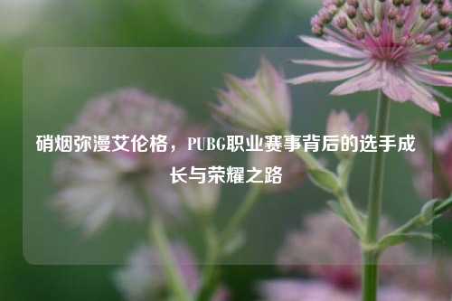 硝烟弥漫艾伦格，PUBG职业赛事背后的选手成长与荣耀之路