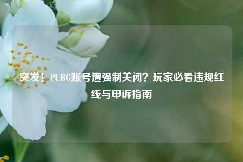 突发!PUBG账号遭强制关闭?玩家必看违规红线与申诉指南