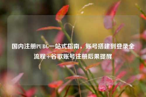 国内注册PUBG一站式指南，账号搭建到登录全流程+谷歌账号注册后果提醒