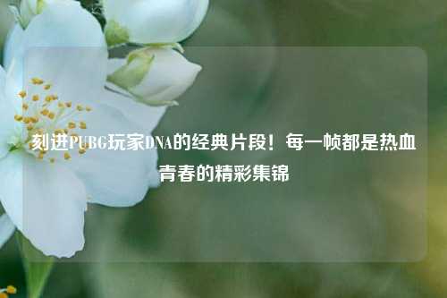 刻进PUBG玩家DNA的经典片段!每一帧都是热血青春的精彩集锦