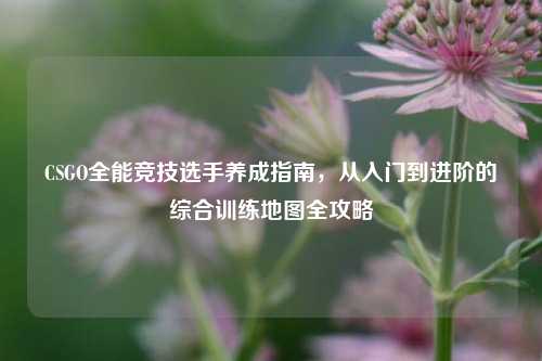 CSGO全能竞技选手养成指南，从入门到进阶的综合训练地图全攻略