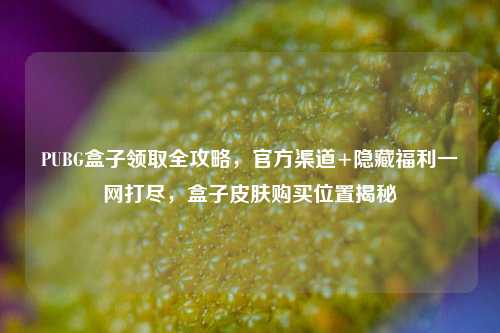 PUBG盒子领取全攻略，官方渠道+隐藏福利一网打尽，盒子皮肤购买位置揭秘