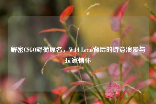 解密CSGO野荷原名，Wild Lotus背后的诗意浪漫与玩家情怀