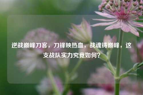 逆战巅峰刀客,刀锋映热血,战魂铸巅峰,这支战队实力究竟如何?