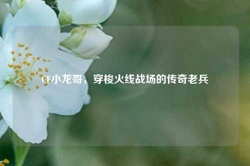 CF小龙哥，穿梭火线战场的传奇老兵