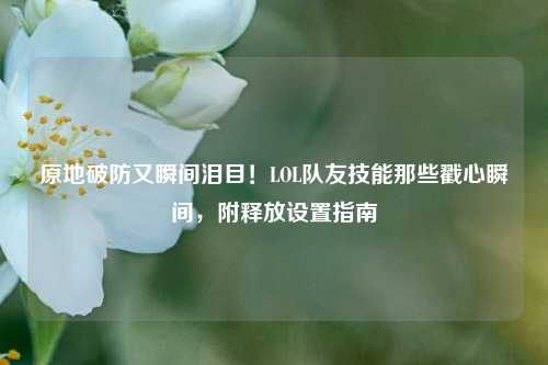 原地破防又瞬间泪目！LOL队友技能那些戳心瞬间，附释放设置指南