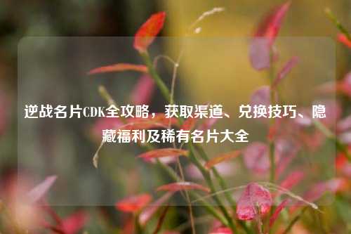 逆战名片CDK全攻略，获取渠道、兑换技巧、隐藏福利及稀有名片大全