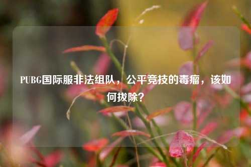 PUBG国际服非法组队，公平竞技的毒瘤，该如何拔除？