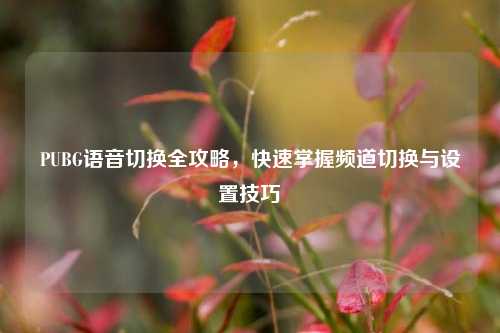 PUBG语音切换全攻略，快速掌握频道切换与设置技巧