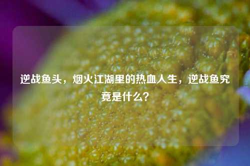 逆战鱼头，烟火江湖里的热血人生，逆战鱼究竟是什么？