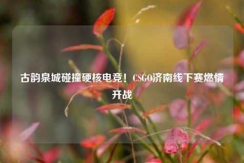 古韵泉城碰撞硬核电竞!CSGO济南线下赛燃情开战