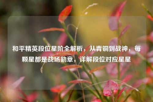 和平精英段位星阶全解析，从青铜到战神，每颗星都是战场勋章，详解段位对应星星