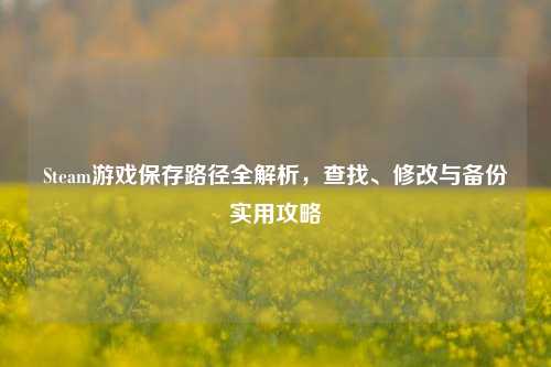Steam游戏保存路径全解析,查找、修改与备份实用攻略