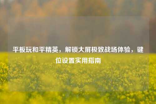 平板玩和平精英，解锁大屏极致战场体验，键位设置实用指南