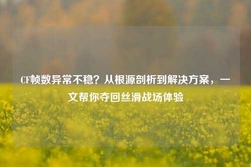 CF帧数异常不稳？从根源剖析到解决方案，一文帮你夺回丝滑战场体验