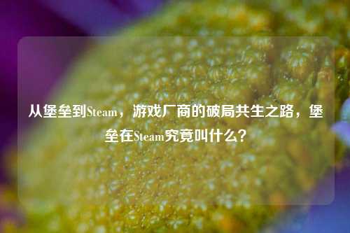 从堡垒到Steam，游戏厂商的破局共生之路，堡垒在Steam究竟叫什么？