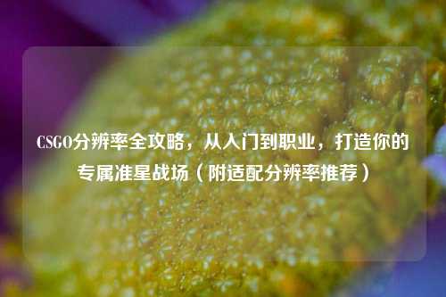 CSGO分辨率全攻略,从入门到职业,打造你的专属准星战场(附适配分辨率推荐)
