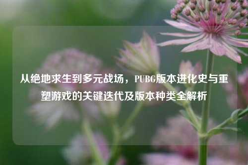 从绝地求生到多元战场,PUBG版本进化史与重塑游戏的关键迭代及版本种类全解析
