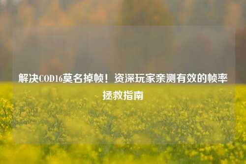 解决COD16莫名掉帧！资深玩家亲测有效的帧率拯救指南