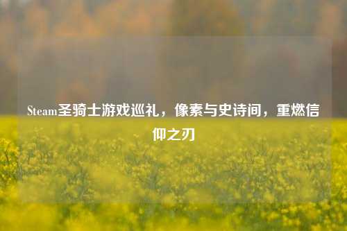 Steam圣骑士游戏巡礼,像素与史诗间,重燃信仰之刃