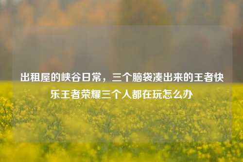出租屋的峡谷日常，三个脑袋凑出来的王者快乐王者荣耀三个人都在玩怎么办