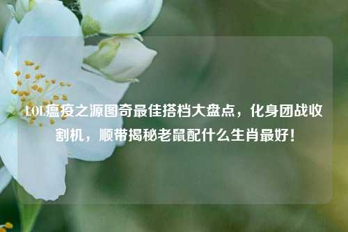 LOL瘟疫之源图奇最佳搭档大盘点,化身团战收割机,顺带揭秘老鼠配什么生肖最好!