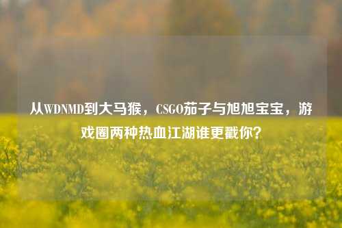 从WDNMD到大马猴,CSGO茄子与旭旭宝宝,游戏圈两种热血江湖谁更戳你?