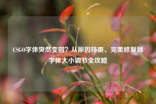 CSGO字体突然变圆?从原因排查、完美修复到字体大小调节全攻略