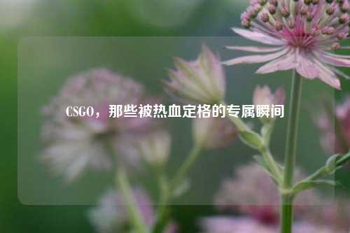 CSGO,那些被热血定格的专属瞬间