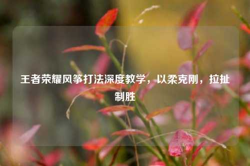 王者荣耀风筝打法深度教学，以柔克刚，拉扯制胜