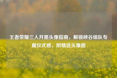 王者荣耀三人开黑头像指南，解锁峡谷组队专属仪式感，附精选头像图