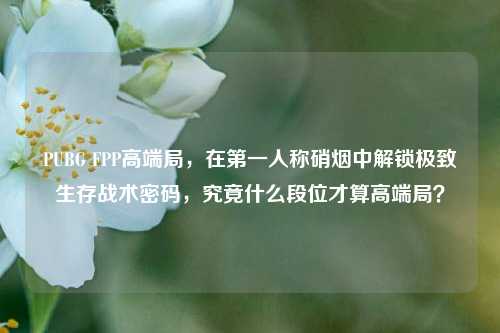 PUBG FPP高端局,在第一人称硝烟中解锁极致生存战术密码,究竟什么段位才算高端局?
