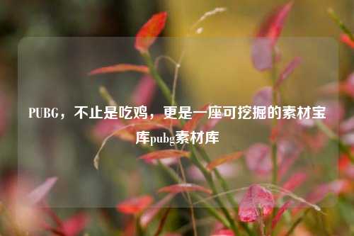 PUBG，不止是吃鸡，更是一座可挖掘的素材宝库pubg素材库
