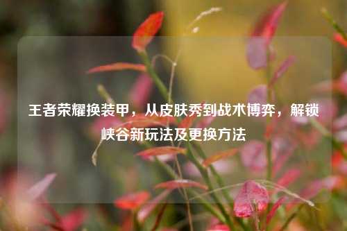 王者荣耀换装甲，从皮肤秀到战术博弈，解锁峡谷新玩法及更换方法