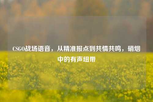 CSGO战场语音，从精准报点到共情共鸣，硝烟中的有声纽带